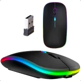 D_NQ_NP_897691-MLB71229171865_082023-O-mouse-sem-fio-recarregavel-wireles-optico-led-rgb-ergonmico